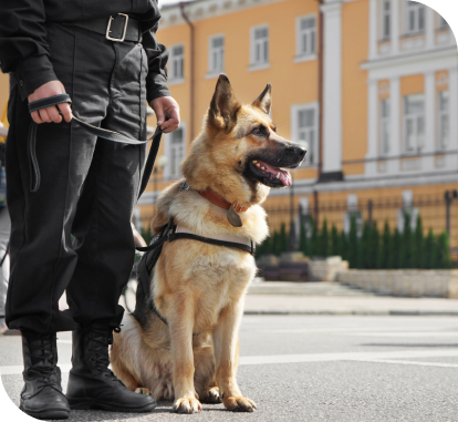 shutterstock_709878748 1 accredited security guards